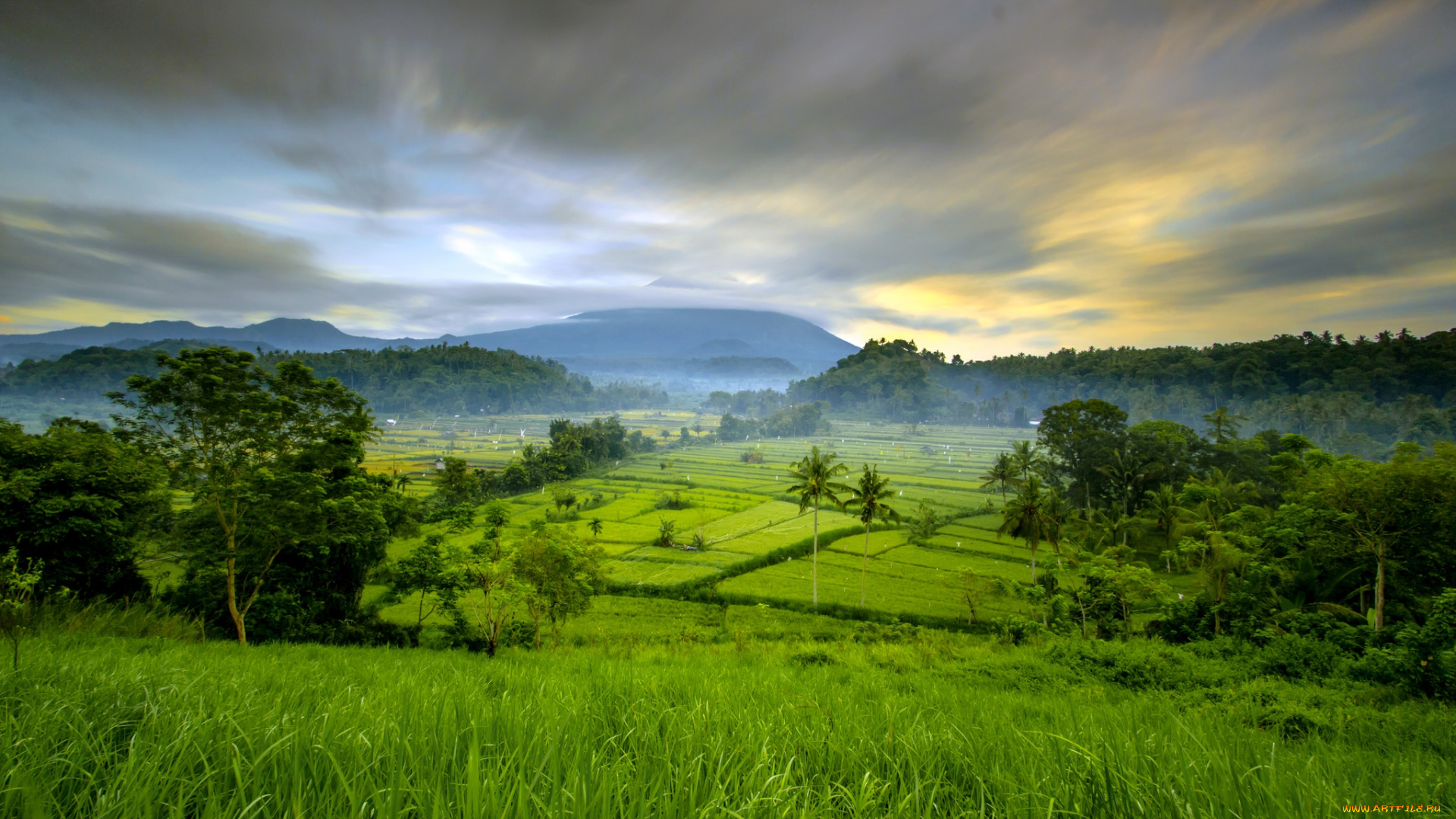 природа, пейзажи, простор