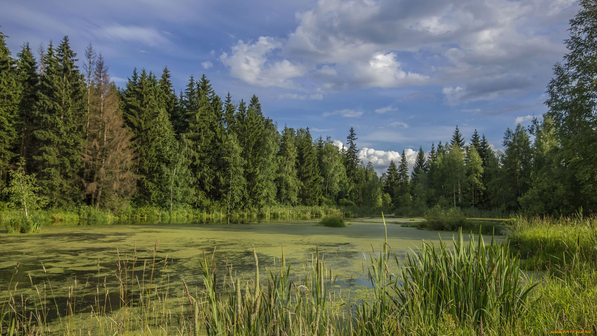природа, реки, озера, простор