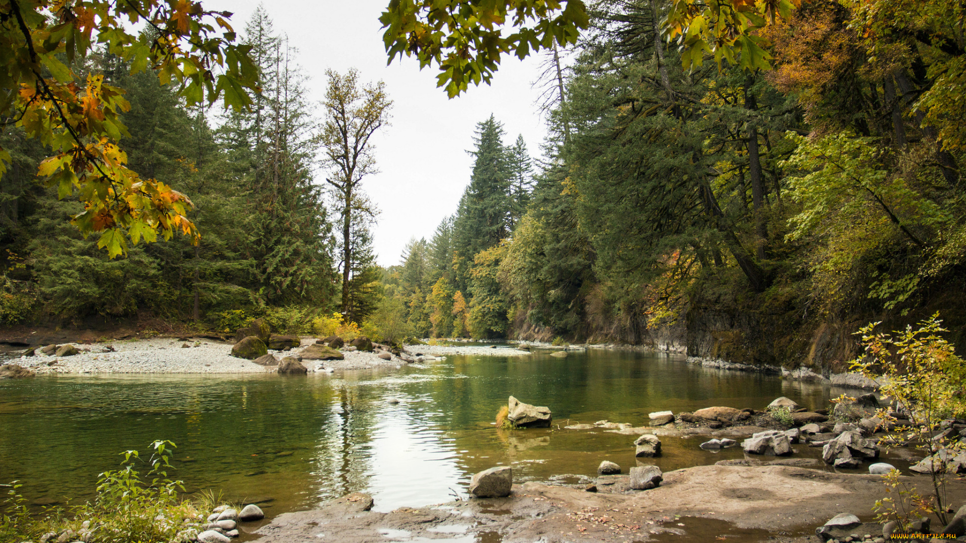 природа, реки, озера, простор