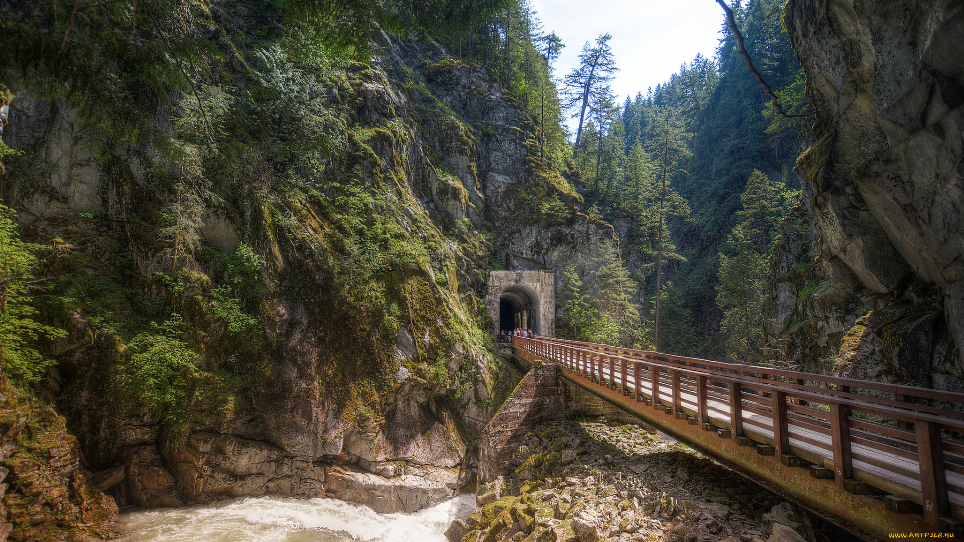 природа, реки, озера, простор