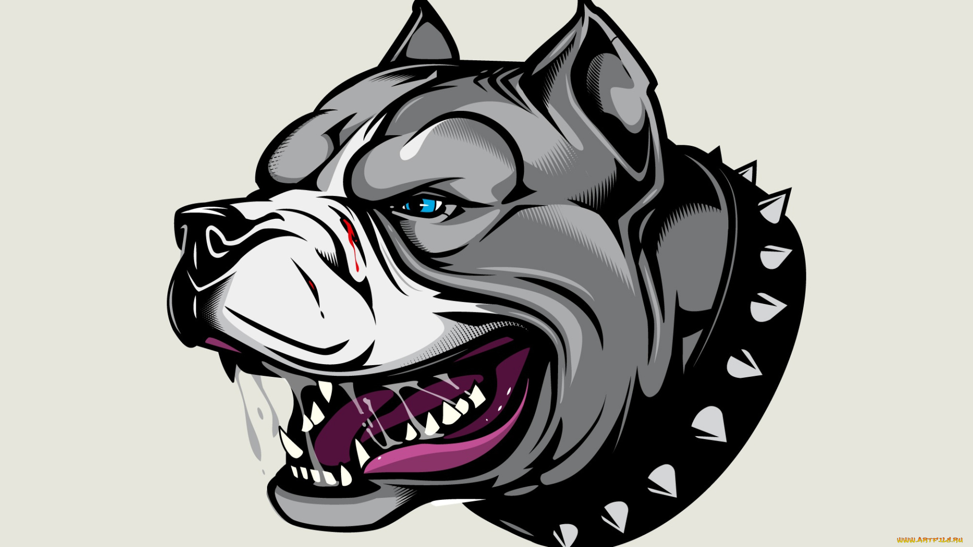рисованное, минимализм, арт, злой, пес, angry, dog, ошейник, с, шипами, питбуль, аватарка, pitbull