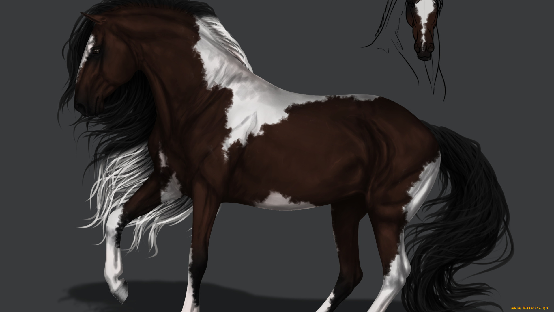 рисованное, животные, , лошади, фон, грива, конь