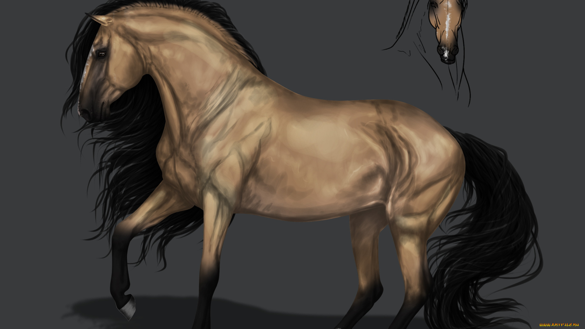 рисованное, животные, , лошади, конь, фон, грива