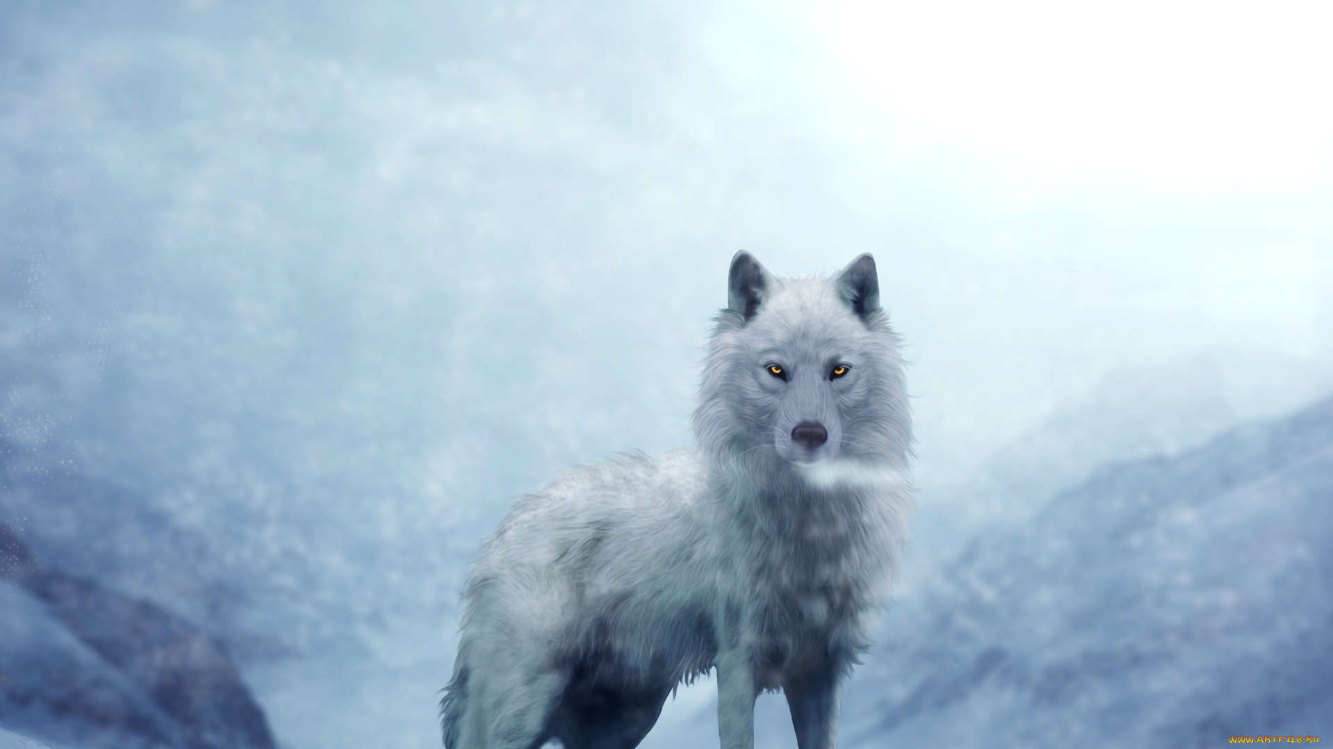 рисованное, животные, , волки, взгляд, фон, волк