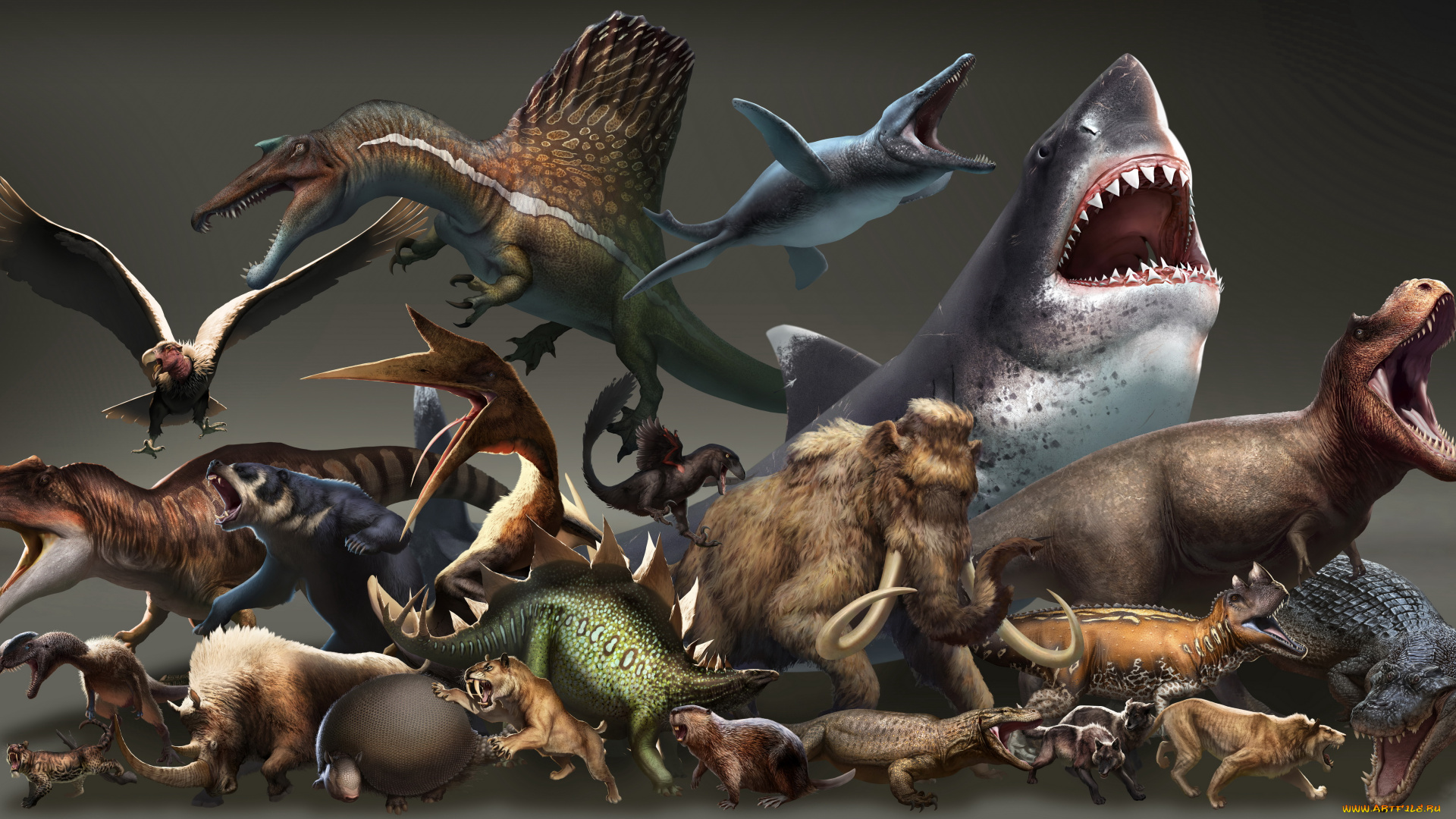 рисованное, животные, фон