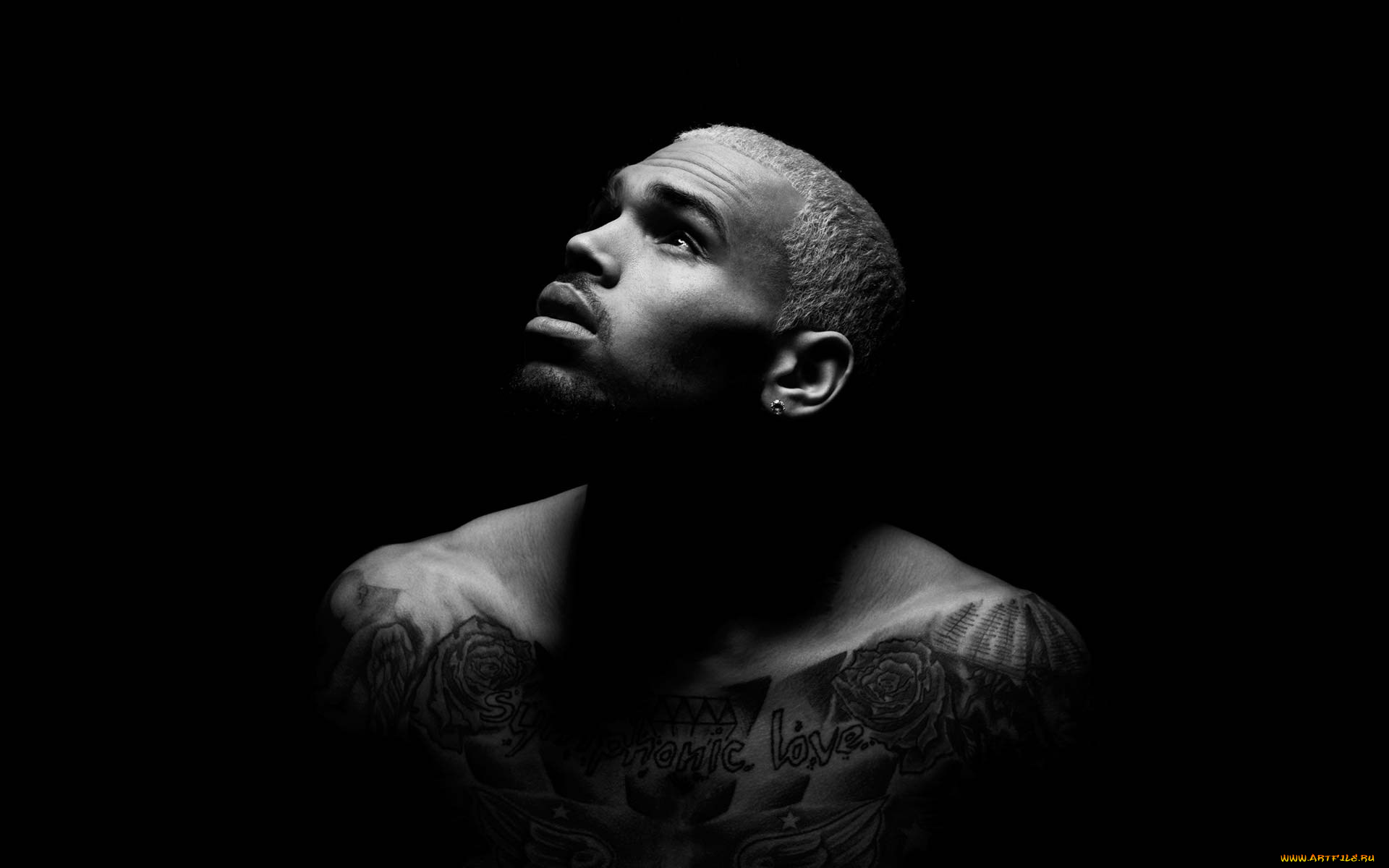 chris-brown, музыка, -временный, музыкант