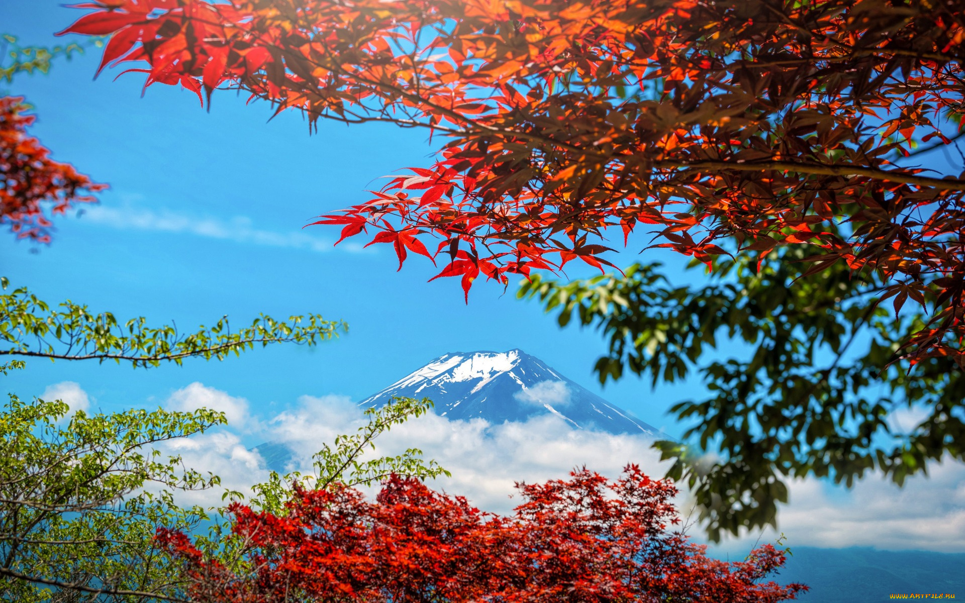 природа, горы, japan, Япония, colorful, листья, небо, осень, fuji, mountain, maple, осенние, leaves, autumn, landscape, гора, фуджи, клен, red