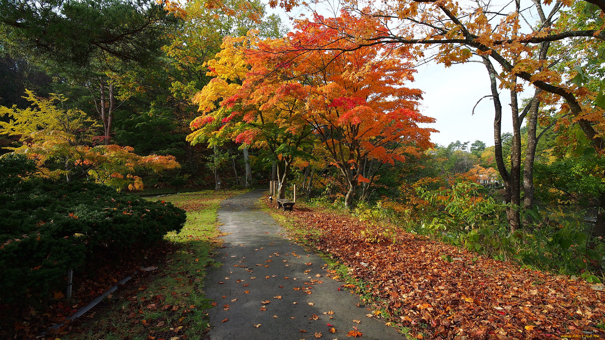 природа, дороги, простор