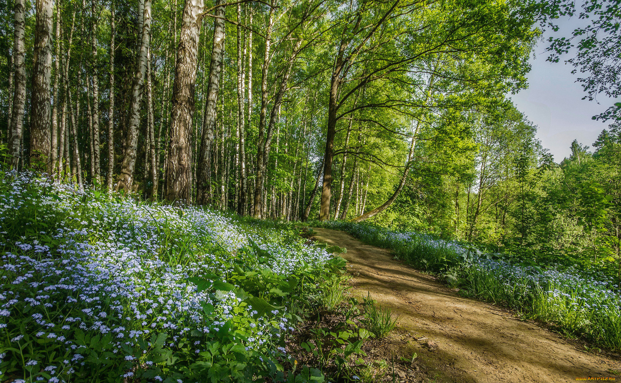 природа, дороги, простор