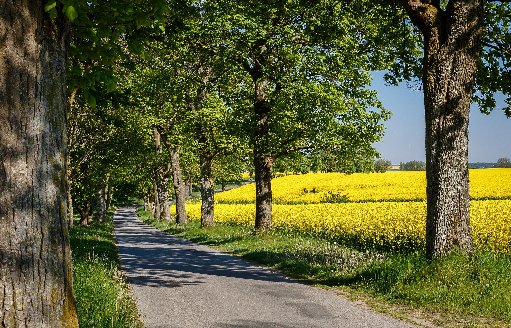 природа, дороги, простор