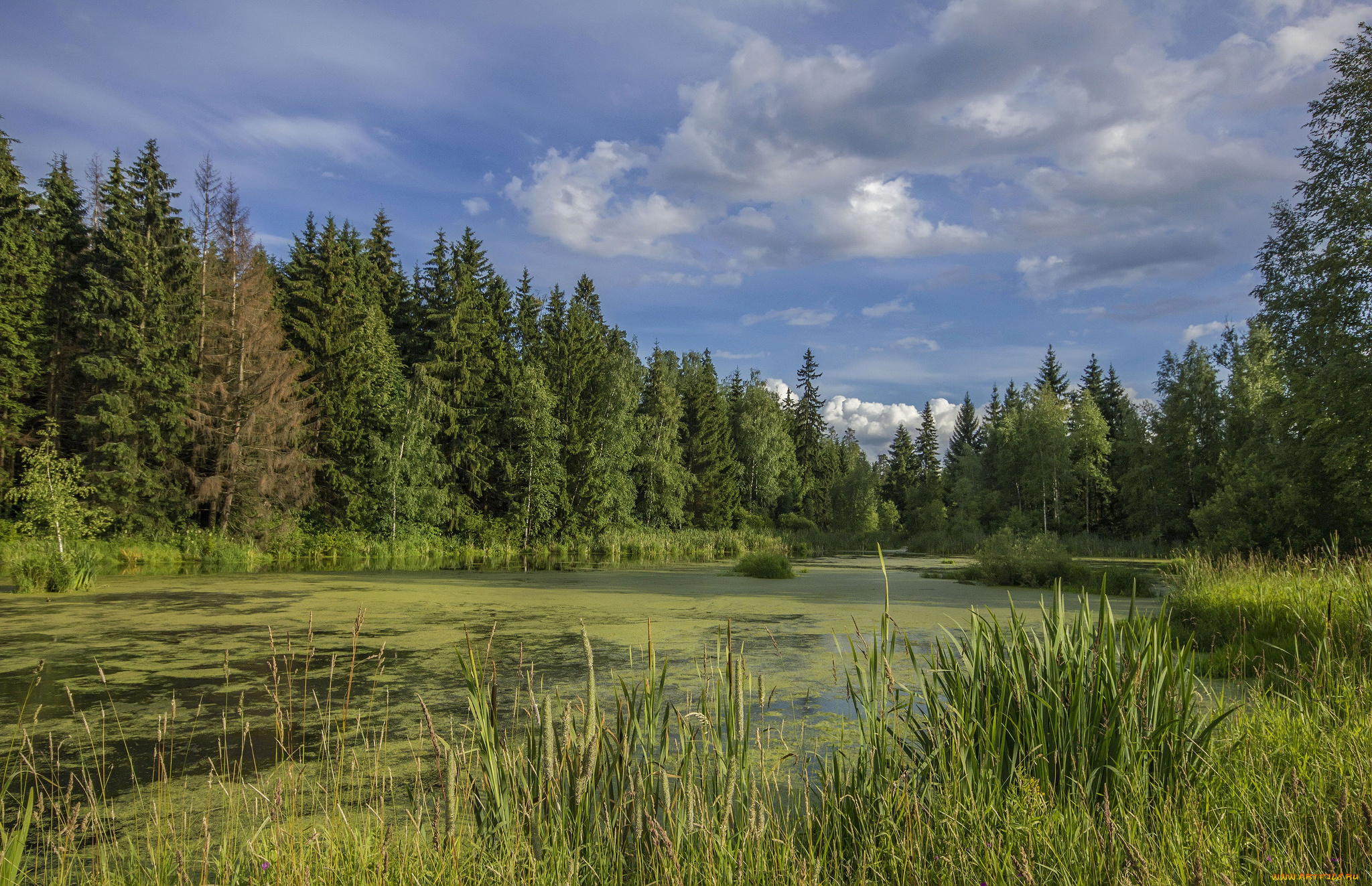 природа, реки, озера, простор