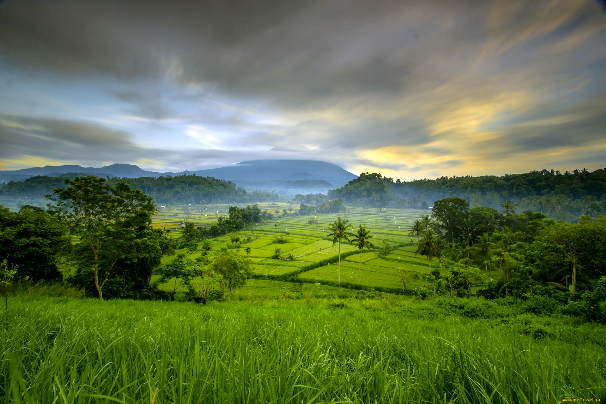 природа, пейзажи, простор