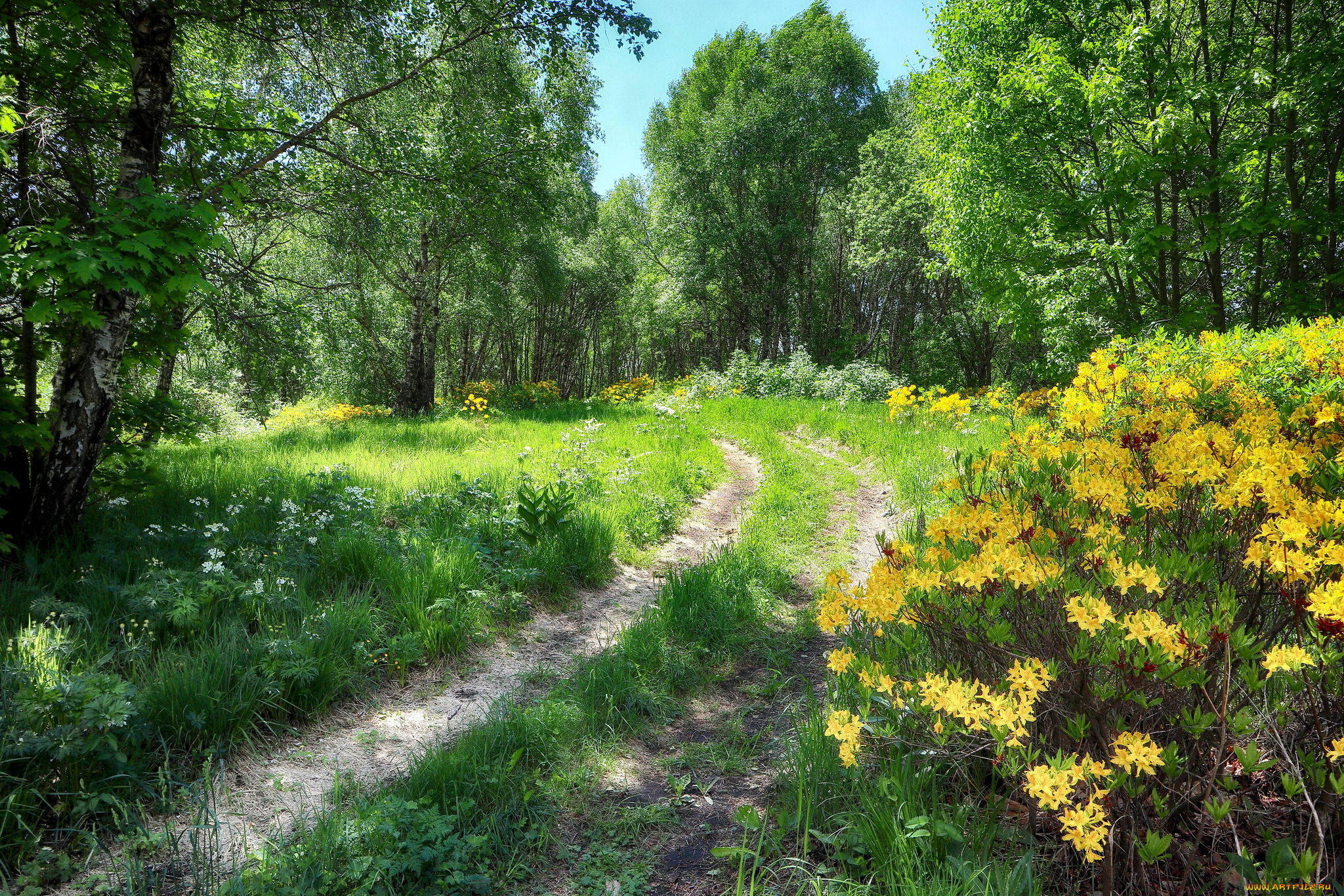 природа, дороги, простор