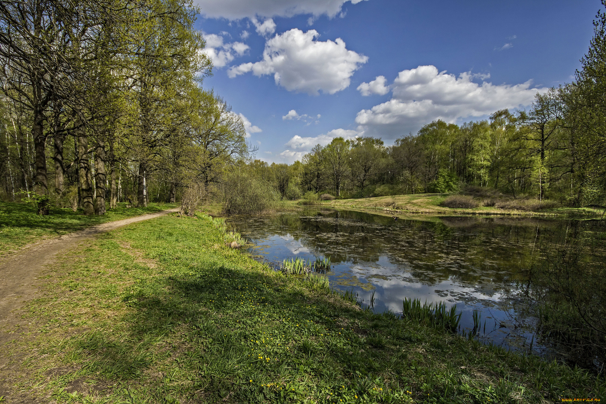 природа, реки, озера, простор