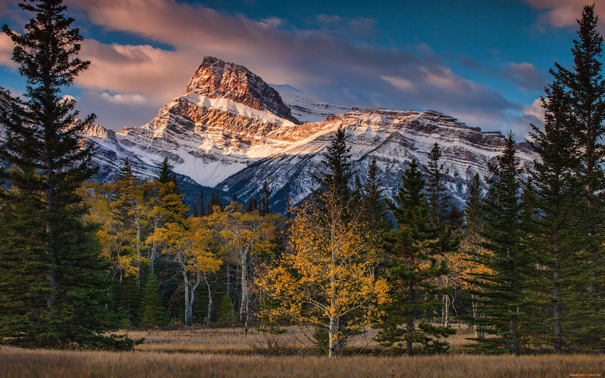 природа, горы, осень, осенняя, ели, канада, альберта, снежные, вершины, синева, деревья, снег, облака, небо, лес