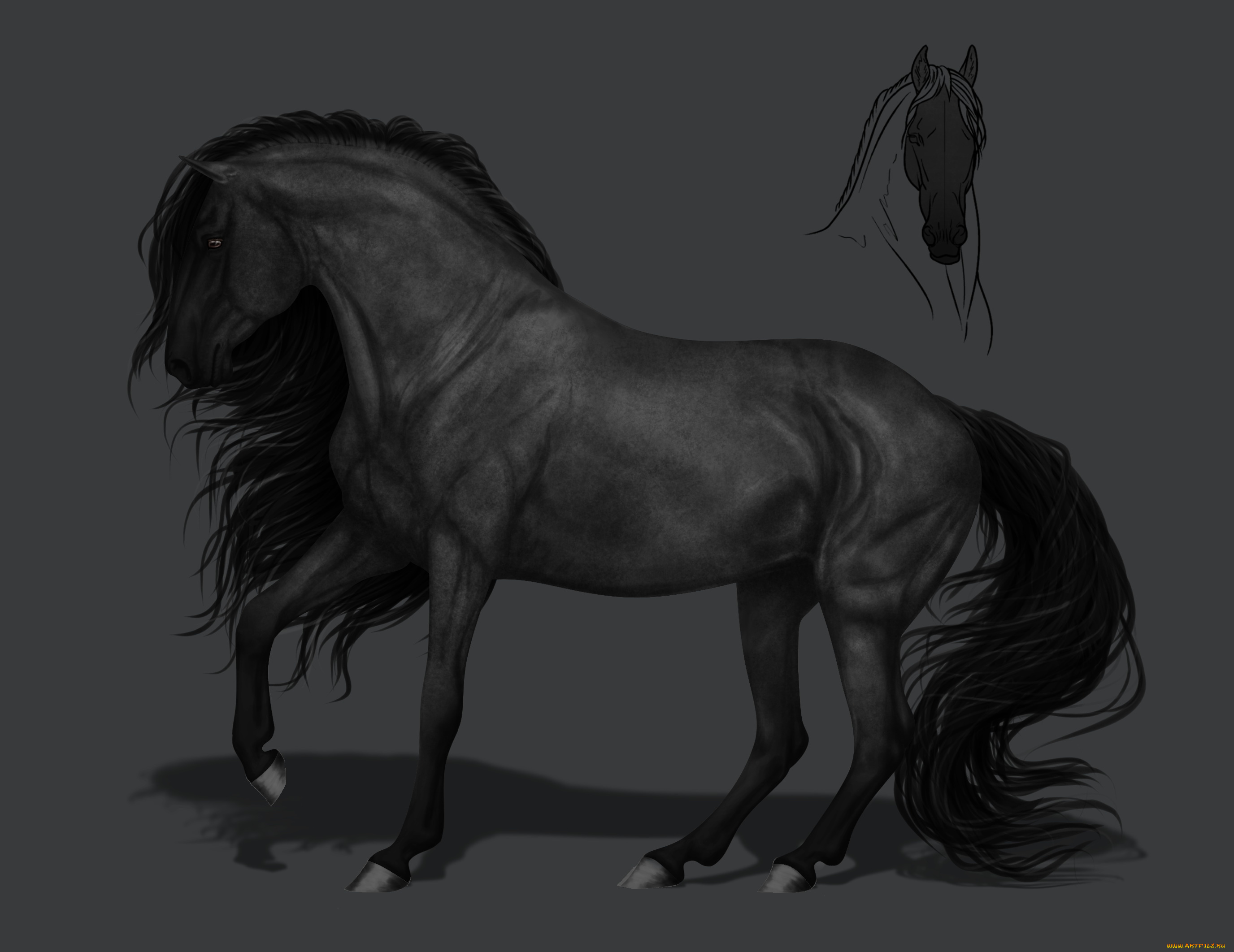 рисованное, животные, , лошади, грива, фон, конь