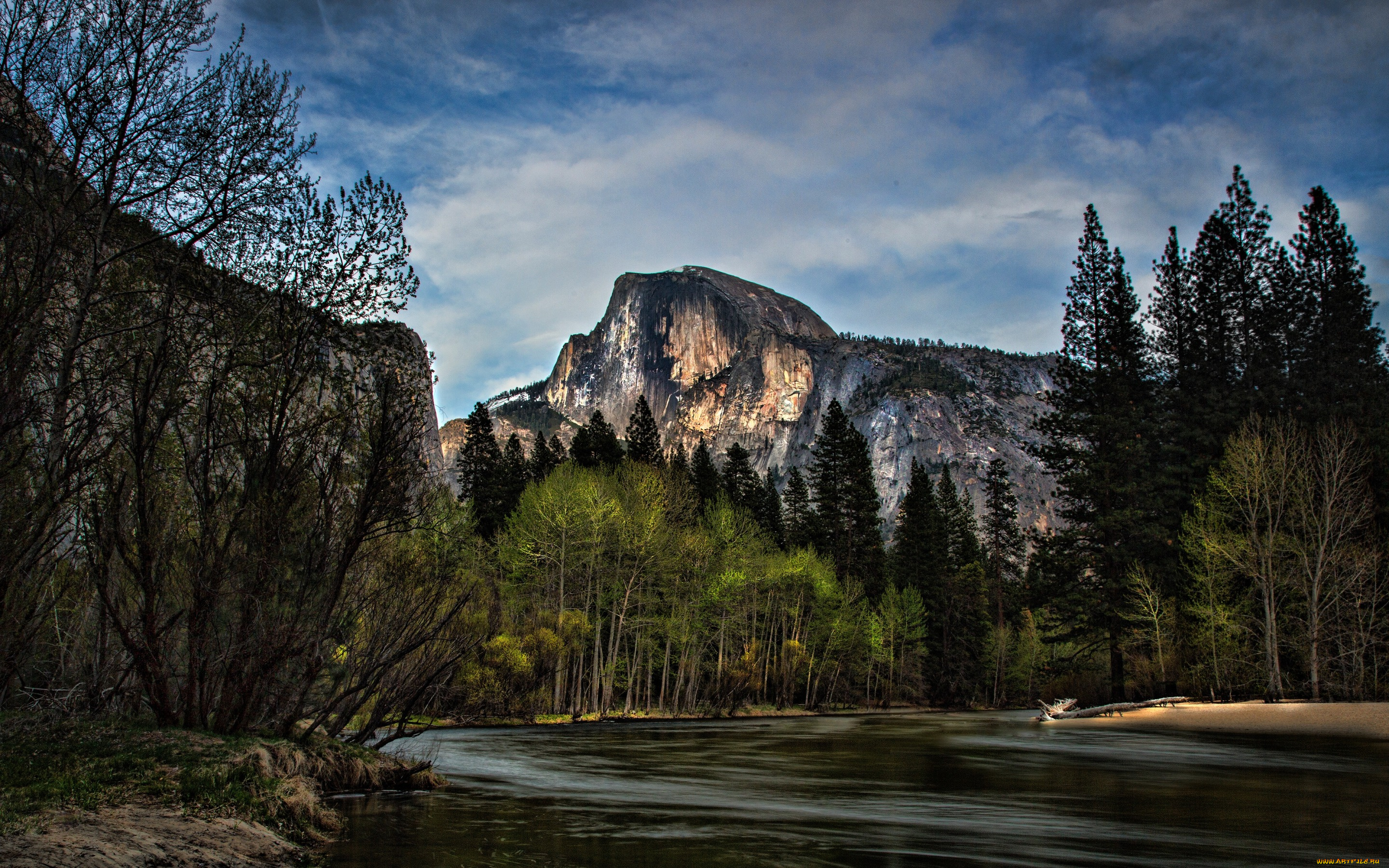природа, горы, берег, скалы, лес, небо, облака, деревья, синева