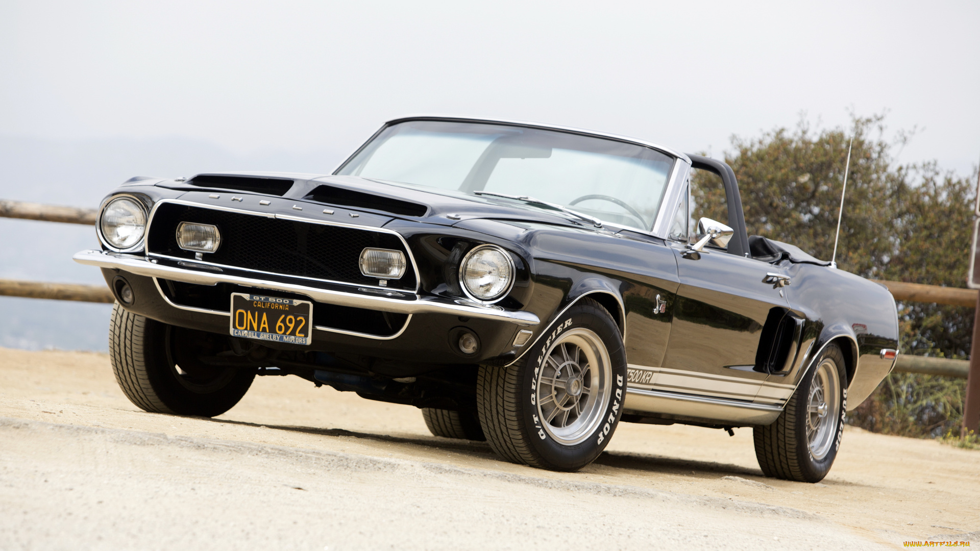 автомобили, mustang, shelby