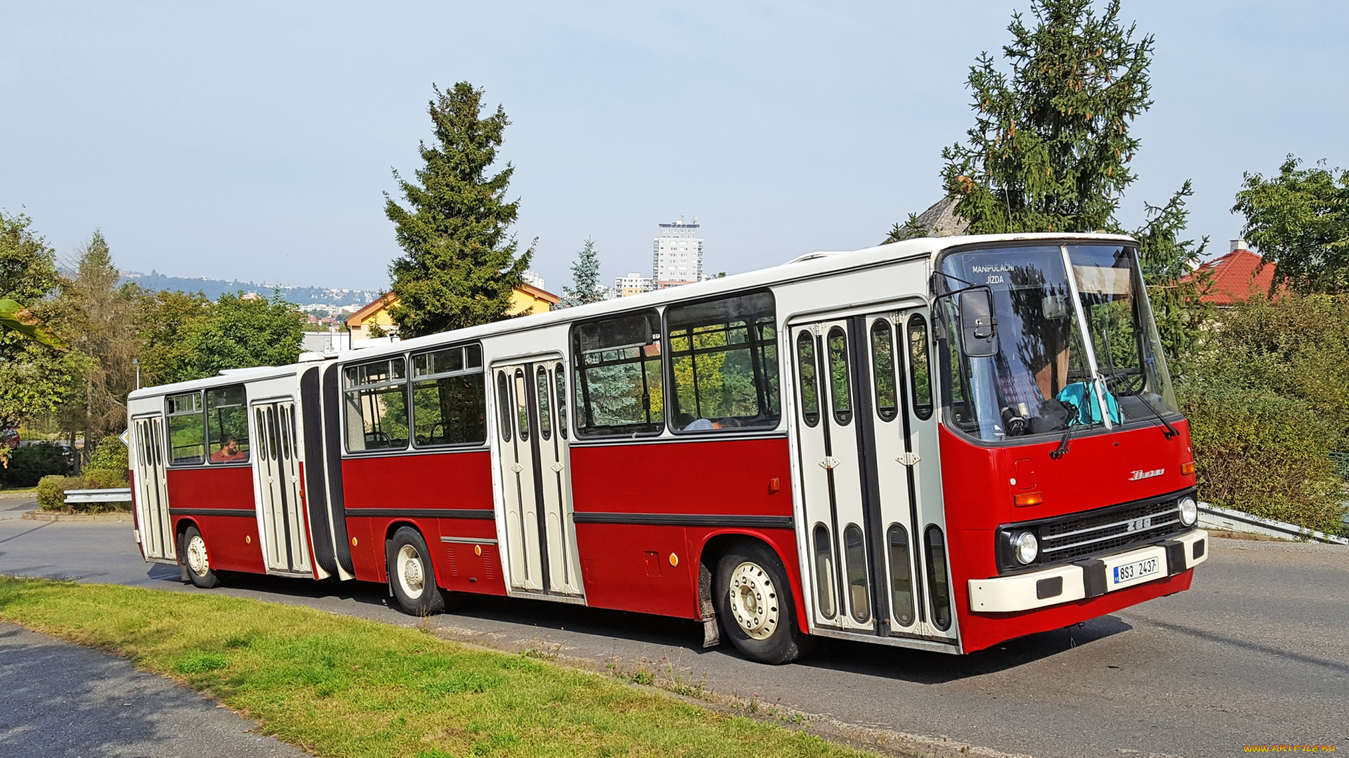 ikarus, автомобили, автобусы, автобус, ретро, икарус