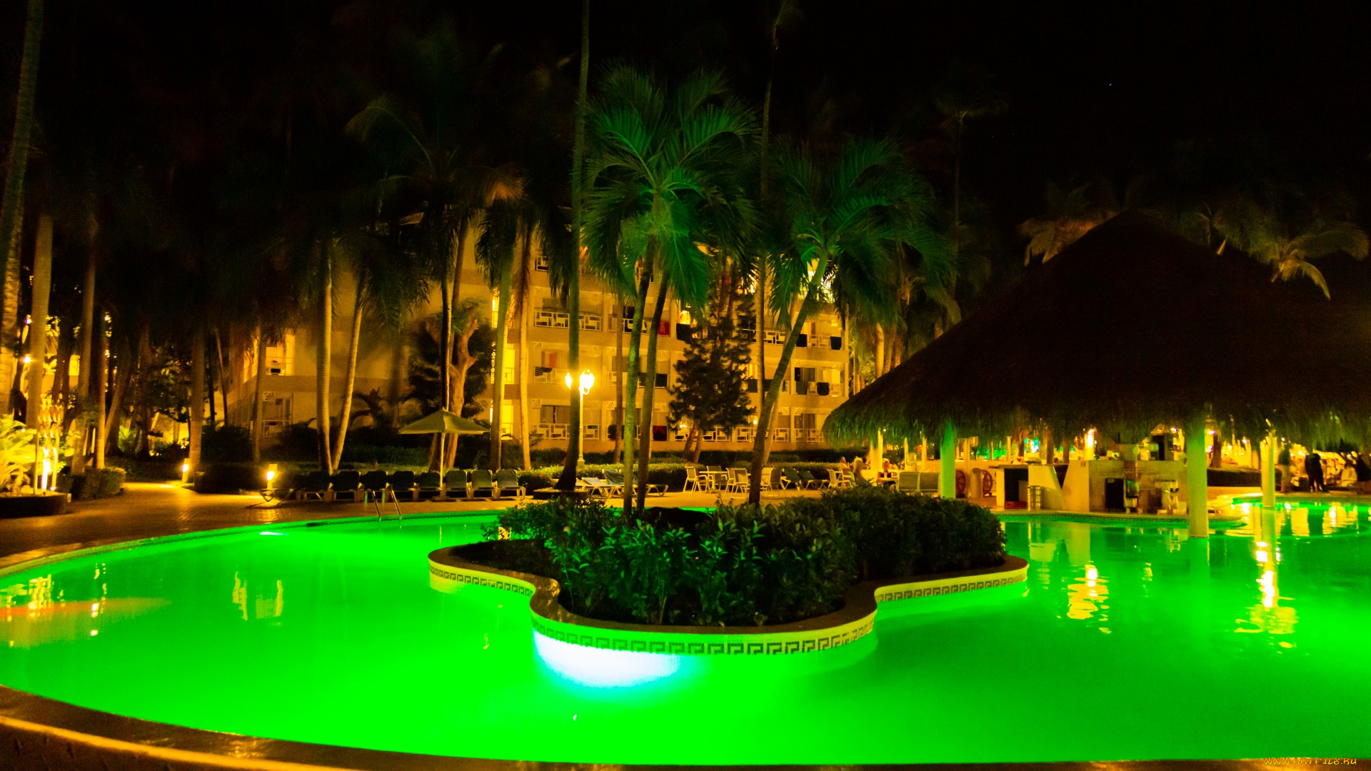 интерьер, бассейны, , открытые, площадки, бассейн, пальмы, подсветка
