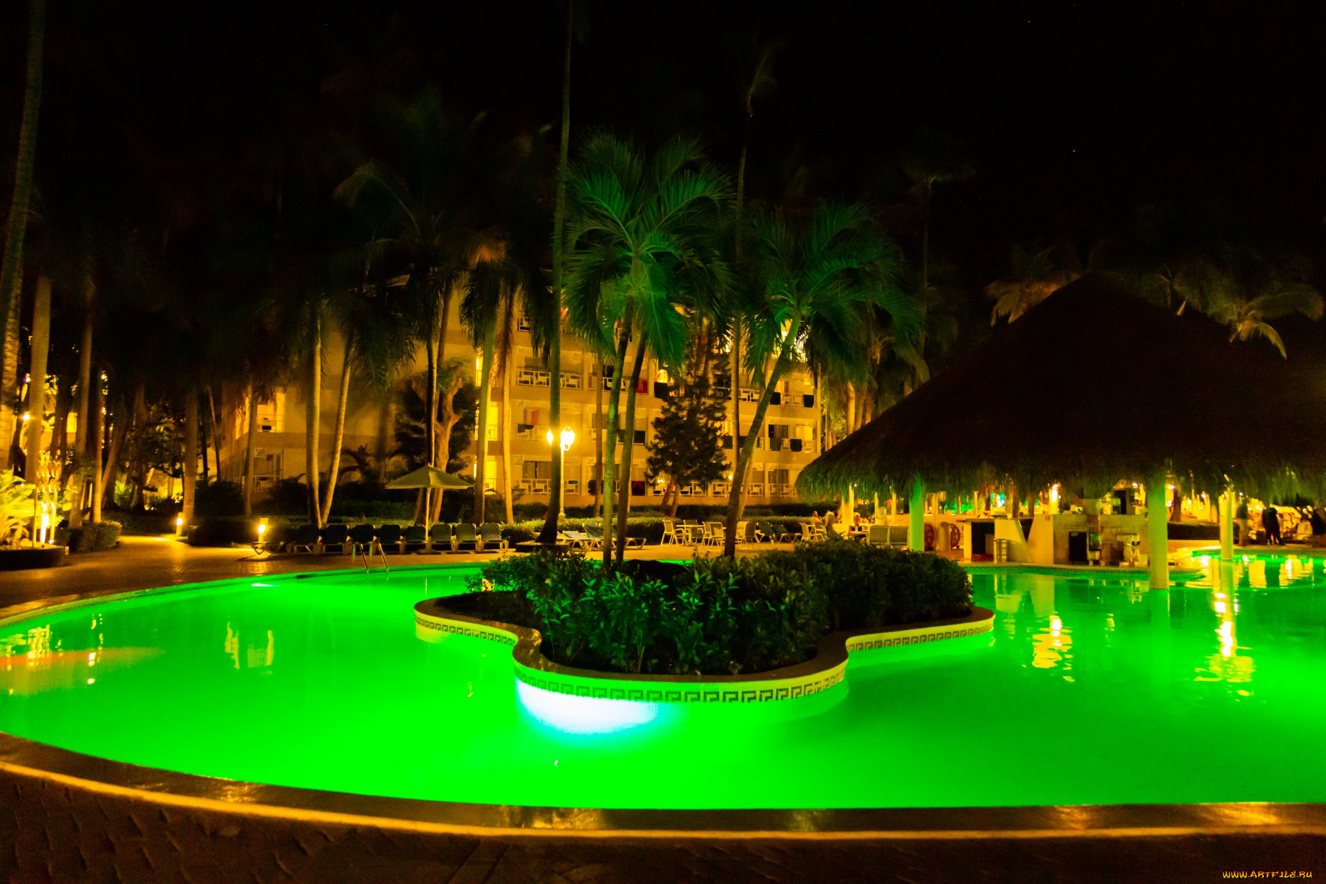 интерьер, бассейны, , открытые, площадки, бассейн, пальмы, подсветка