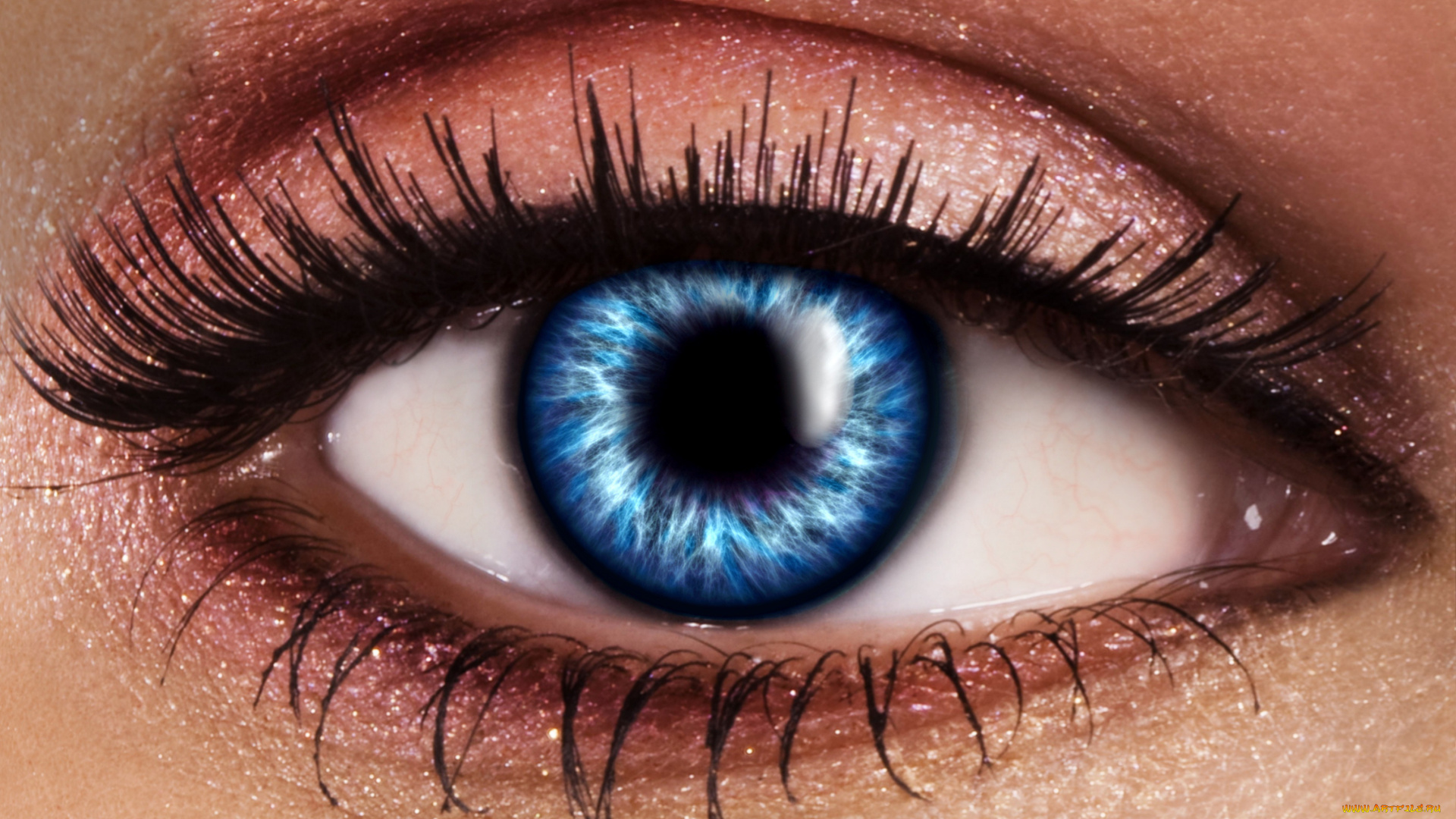 разное, глаза, взгляд, глаз, ресницы, зрачок, крупным, планом, голубой