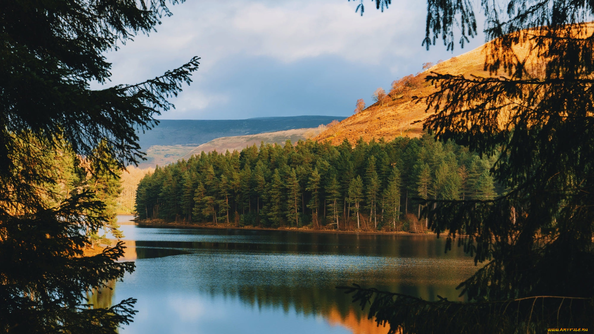 природа, лес, свет, горы, ветки, озеро, берег, вид, ели, хвоя, водоем