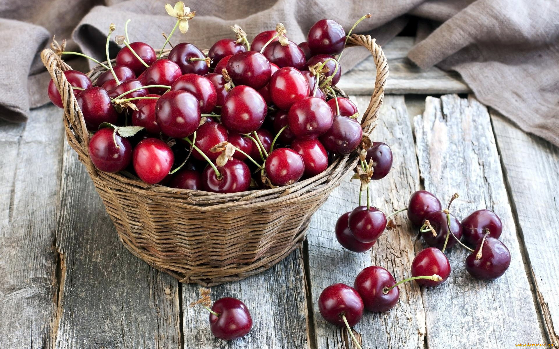 еда, вишня, , черешня, вишни