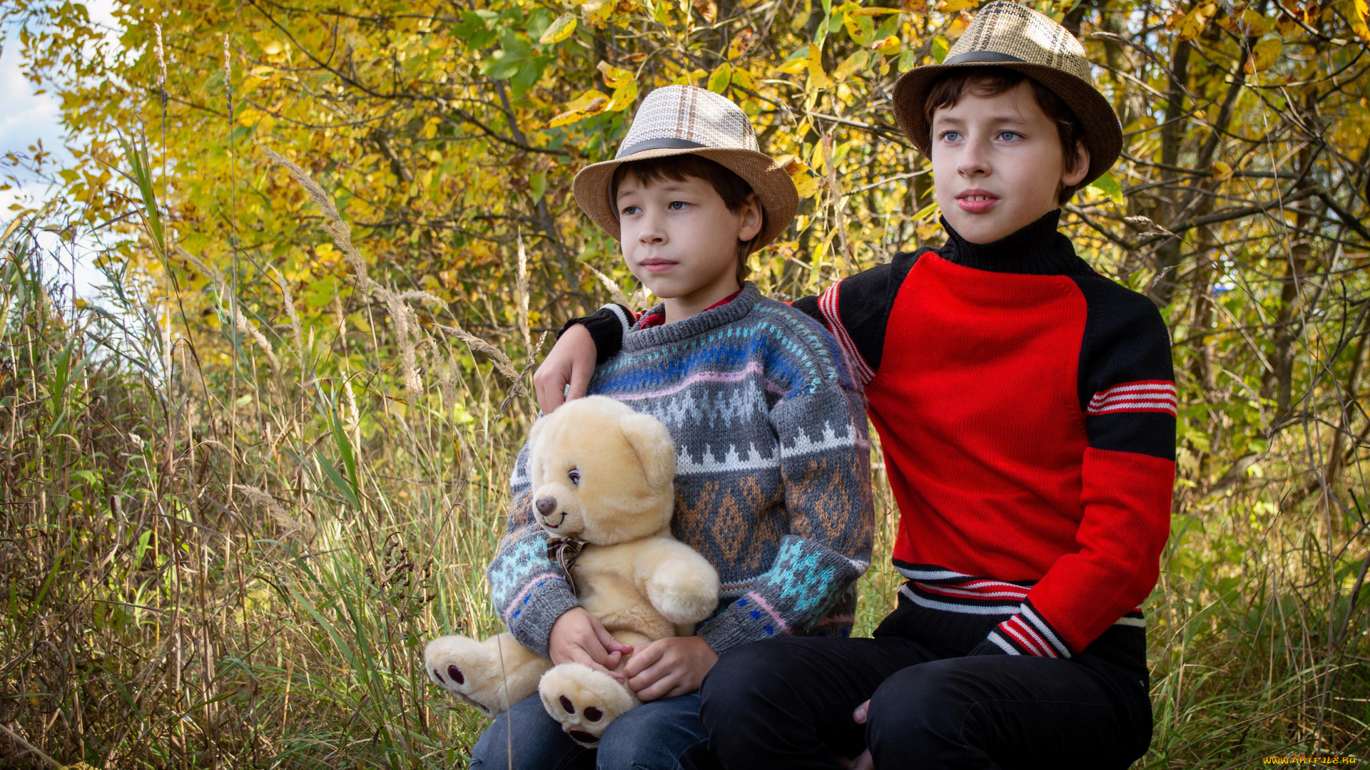 разное, дети, мальчики, мишка, осень, лес