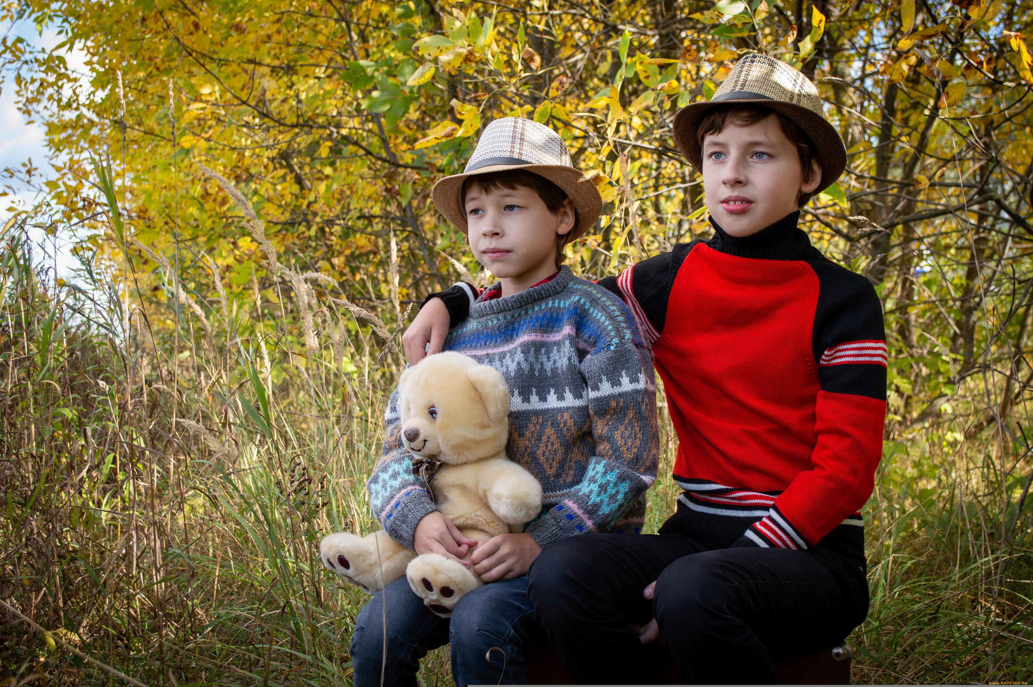 разное, дети, мальчики, мишка, осень, лес