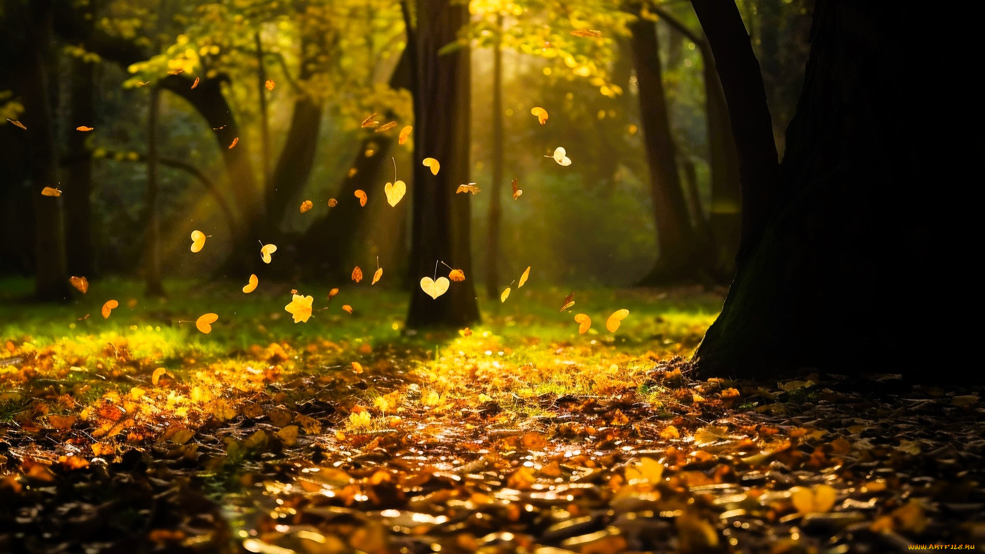 3д, графика, природа, , nature, лес, деревья, осень, листья