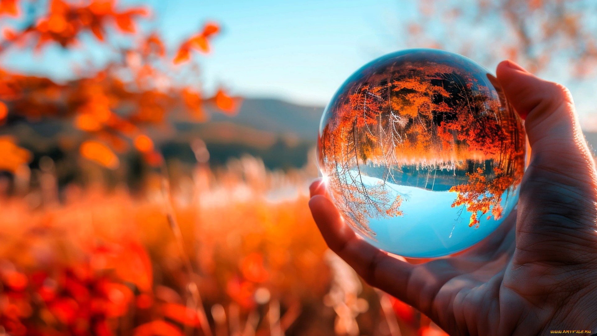 3д, графика, природа, , nature, рука, шар, природа, осень