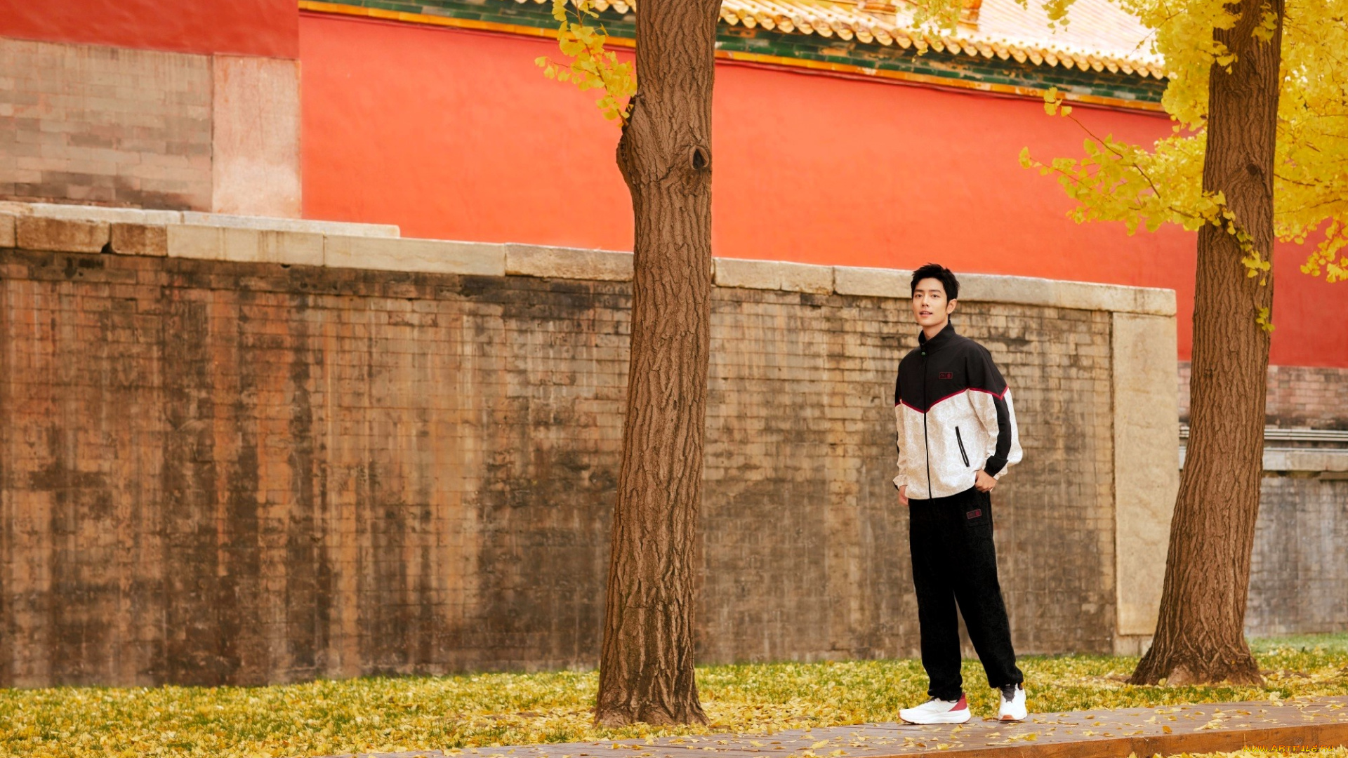мужчины, xiao, zhan, актер, спортивный, костюм, осень, деревья, здание, стена, листья