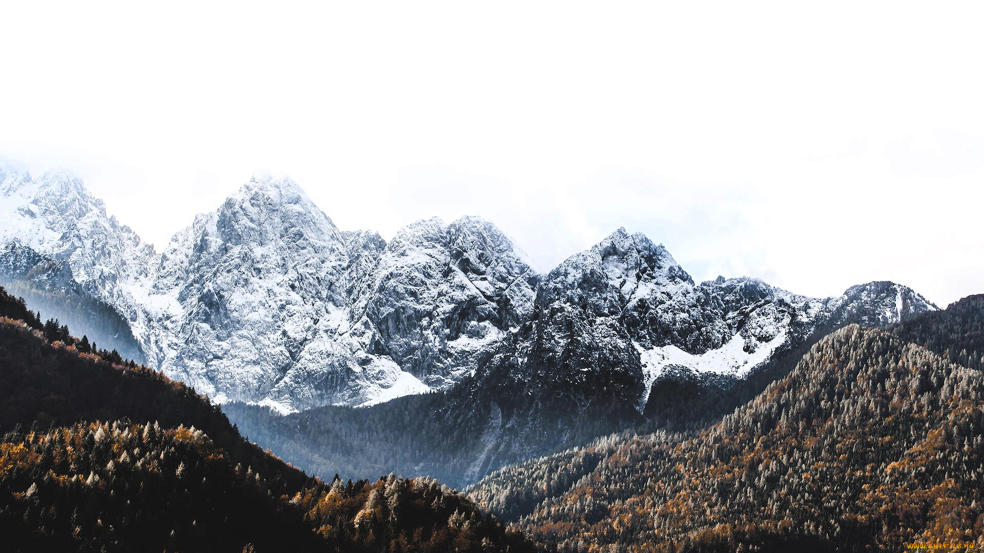 природа, горы, снег, лес, осень