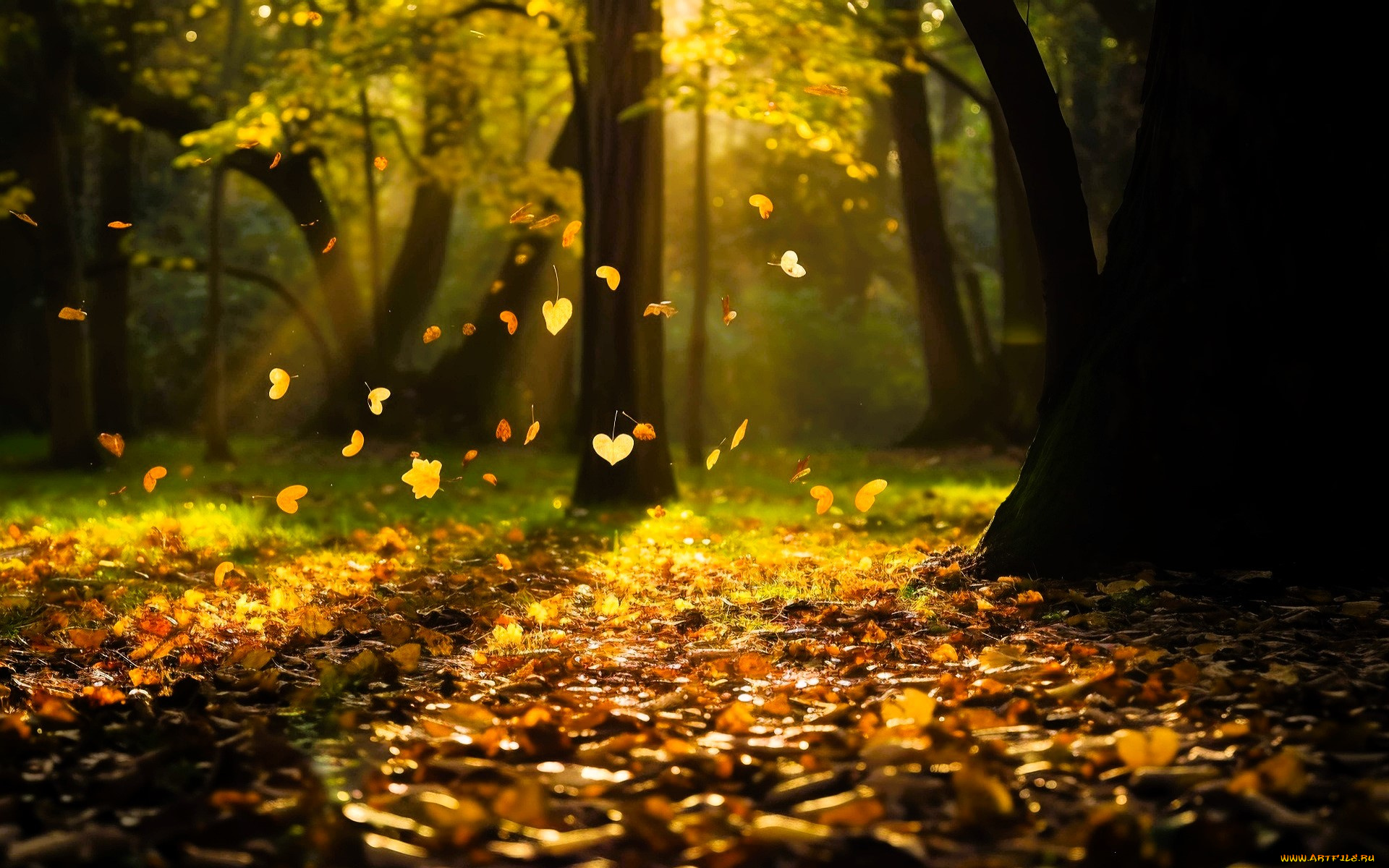 3д, графика, природа, , nature, лес, деревья, осень, листья