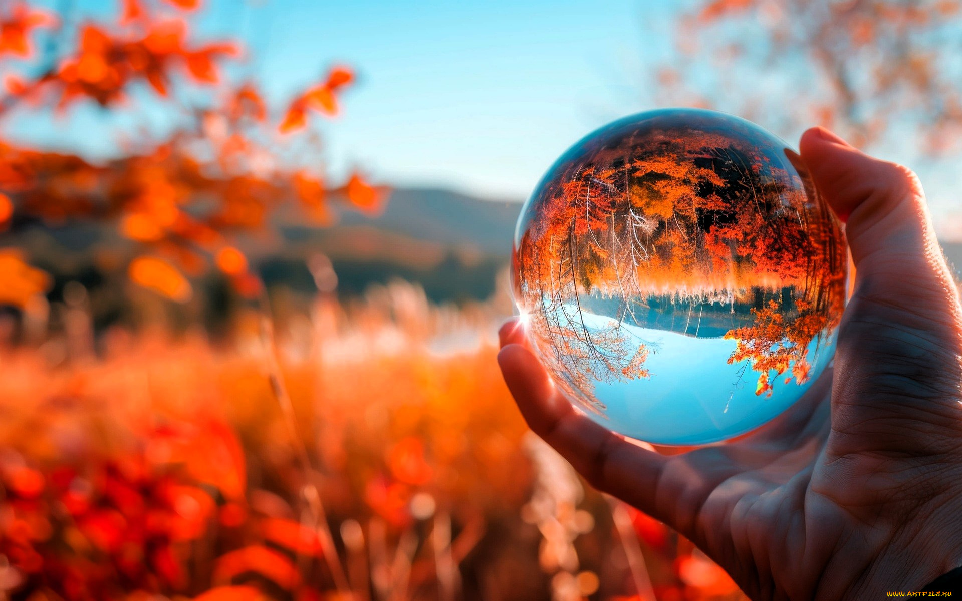 3д, графика, природа, , nature, рука, шар, природа, осень