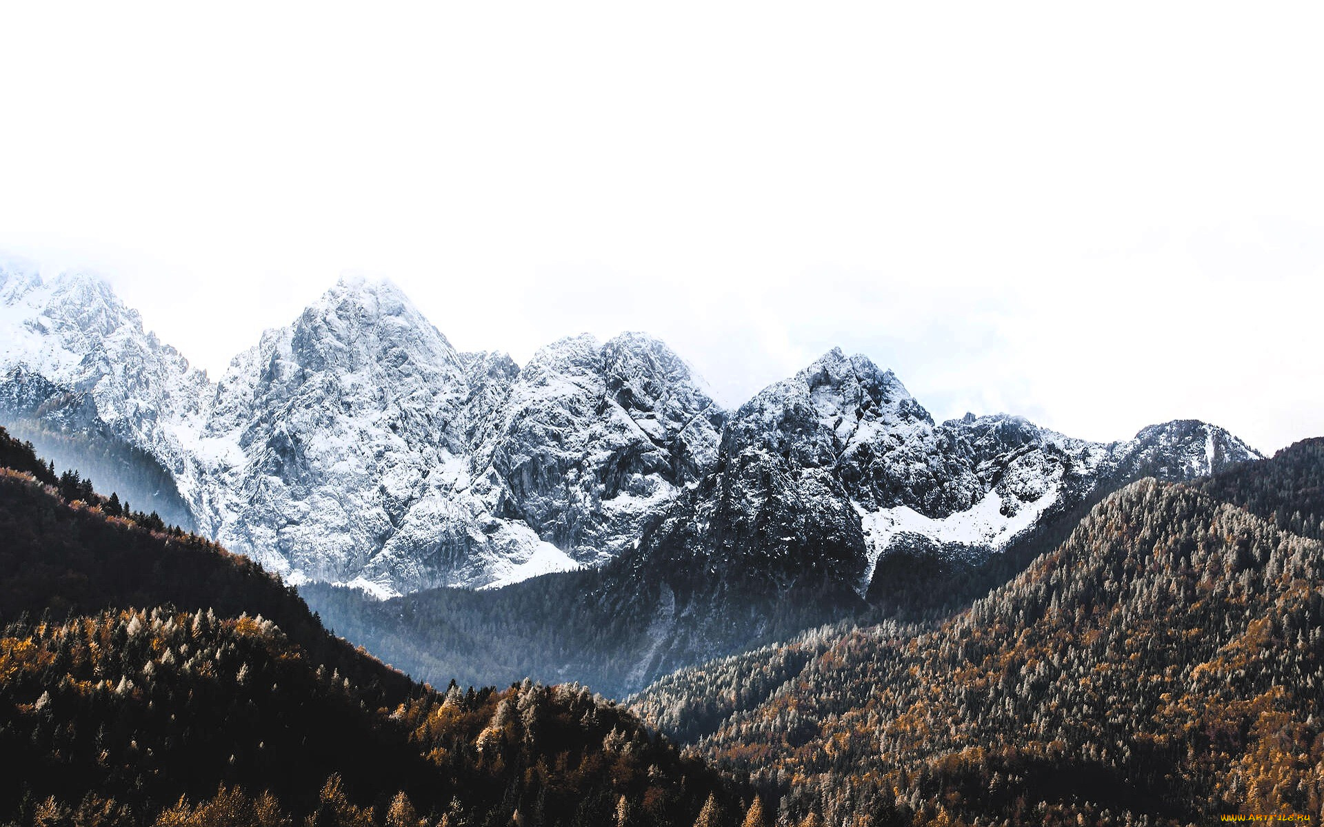 природа, горы, снег, лес, осень