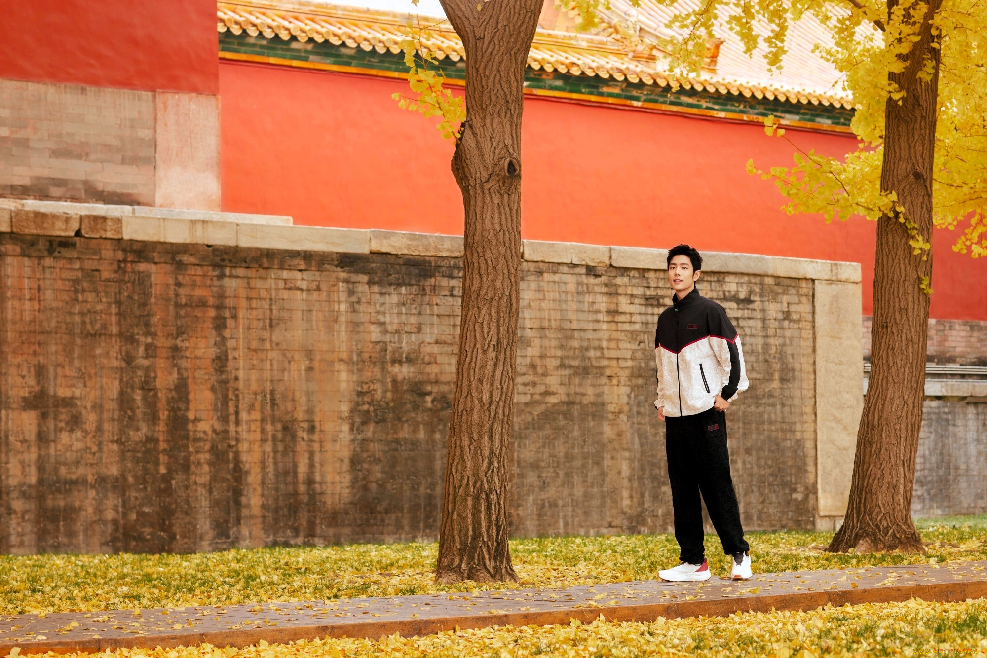 мужчины, xiao, zhan, актер, спортивный, костюм, осень, деревья, здание, стена, листья