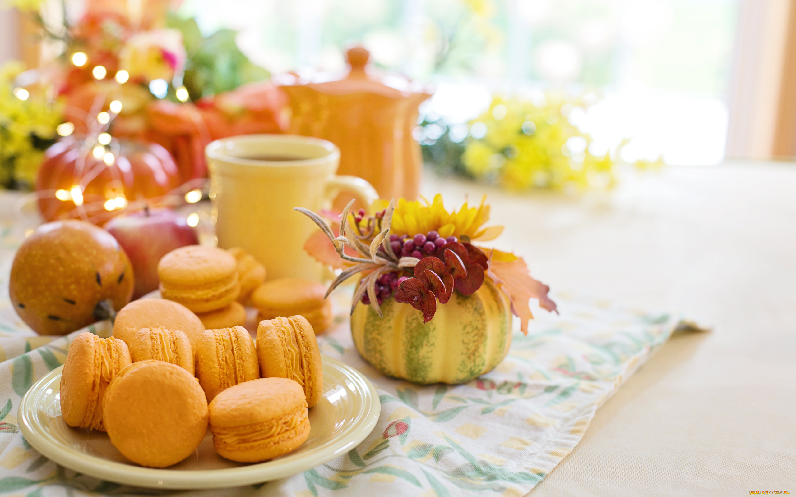 еда, макаруны, лакомство, апельсиновые