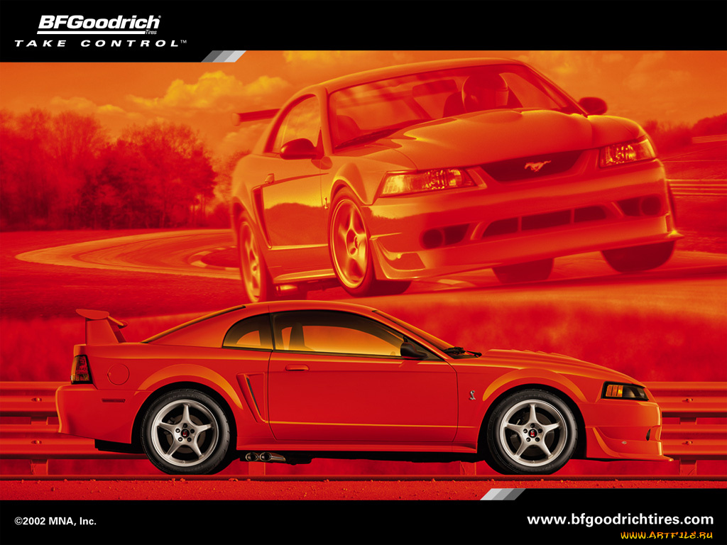 mustang, cobra, автомобили, ford