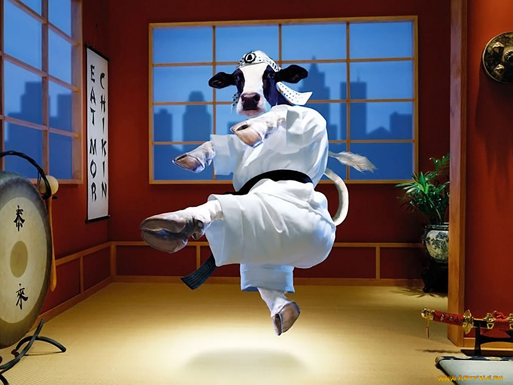 тайная, жизнь, коров, 01, разное