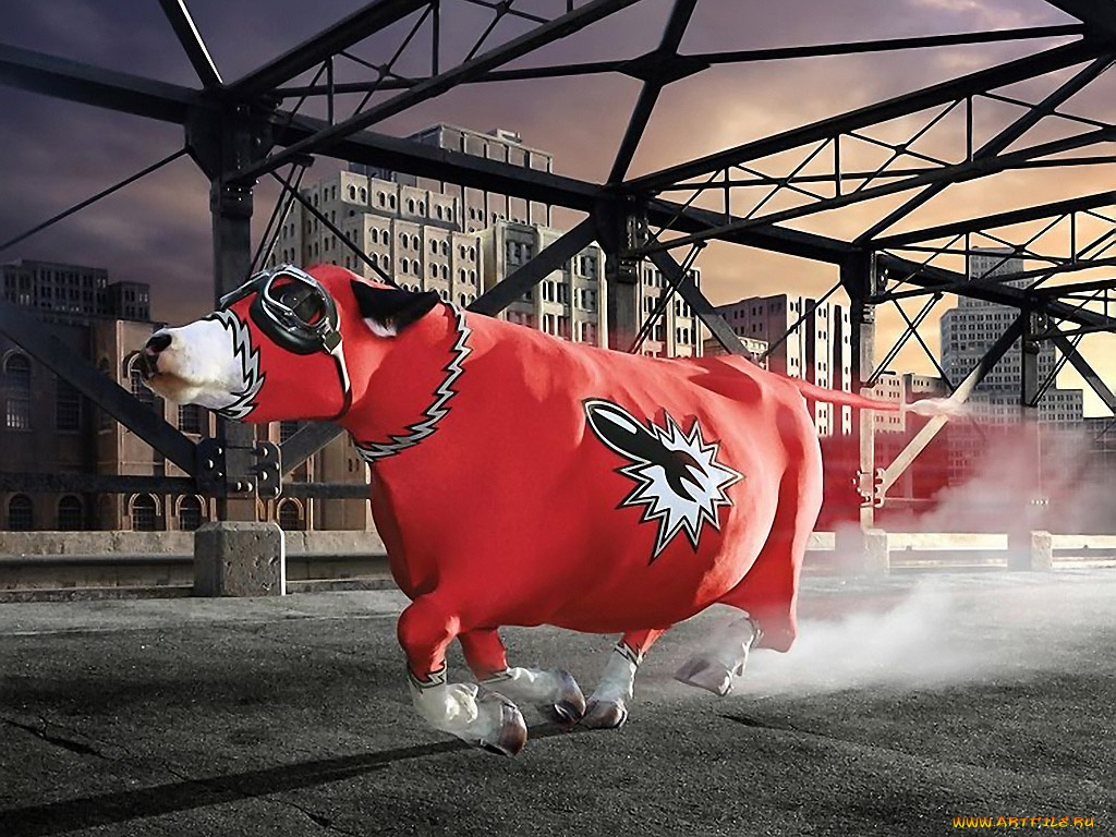 тайная, жизнь, коров, 03, разное