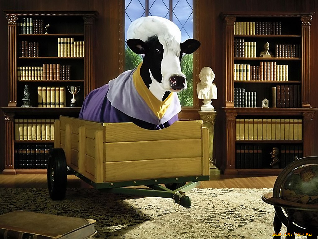 тайная, жизнь, коров, 04, разное