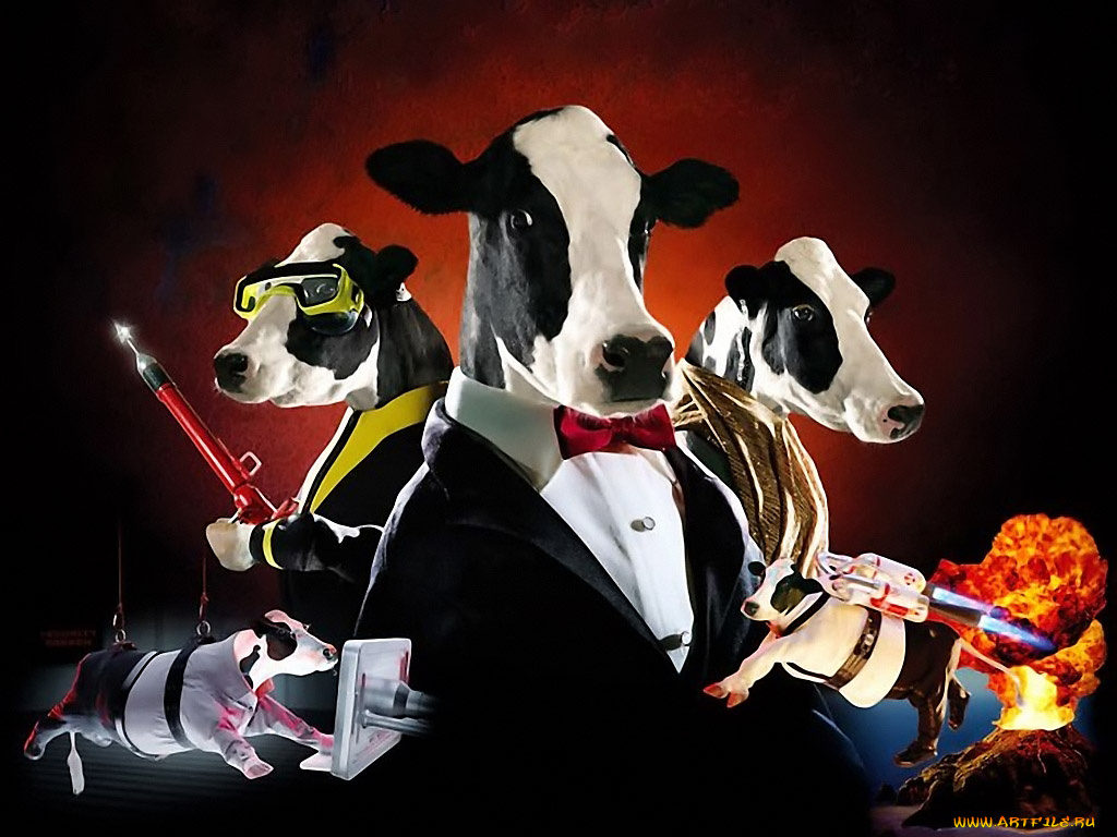 тайная, жизнь, коров, 05, разное