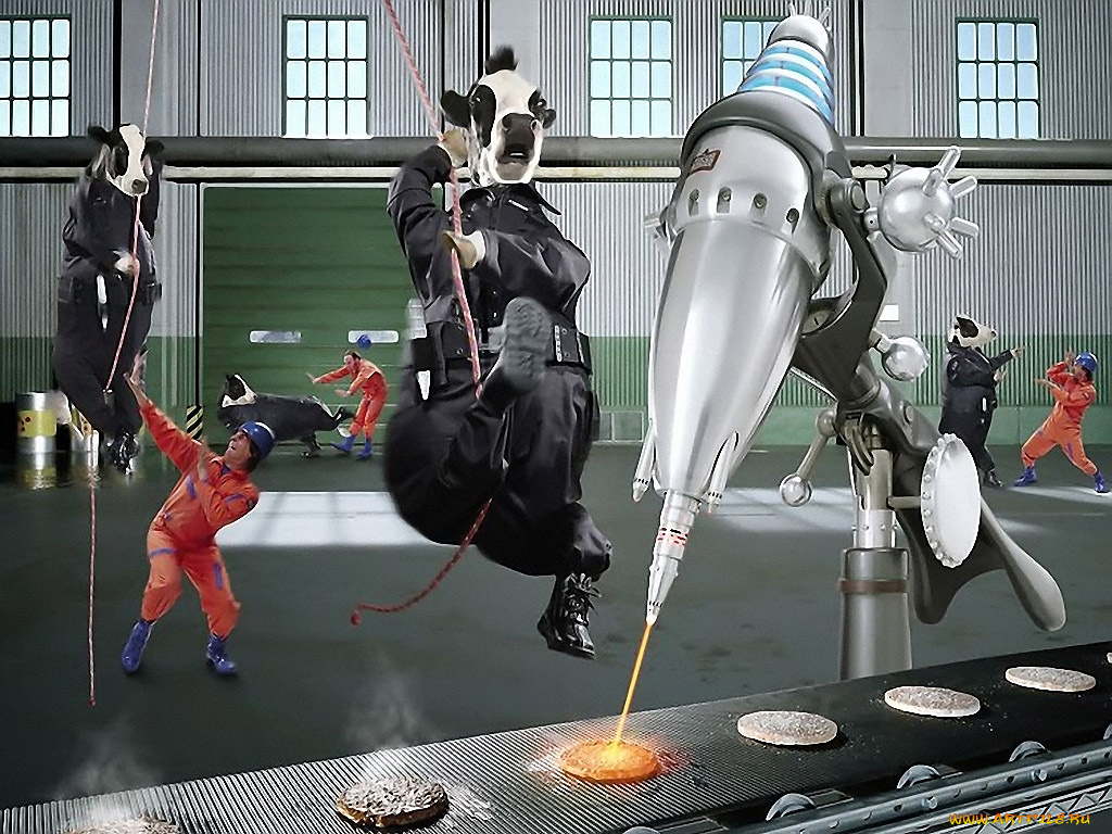 тайная, жизнь, коров, 06, разное