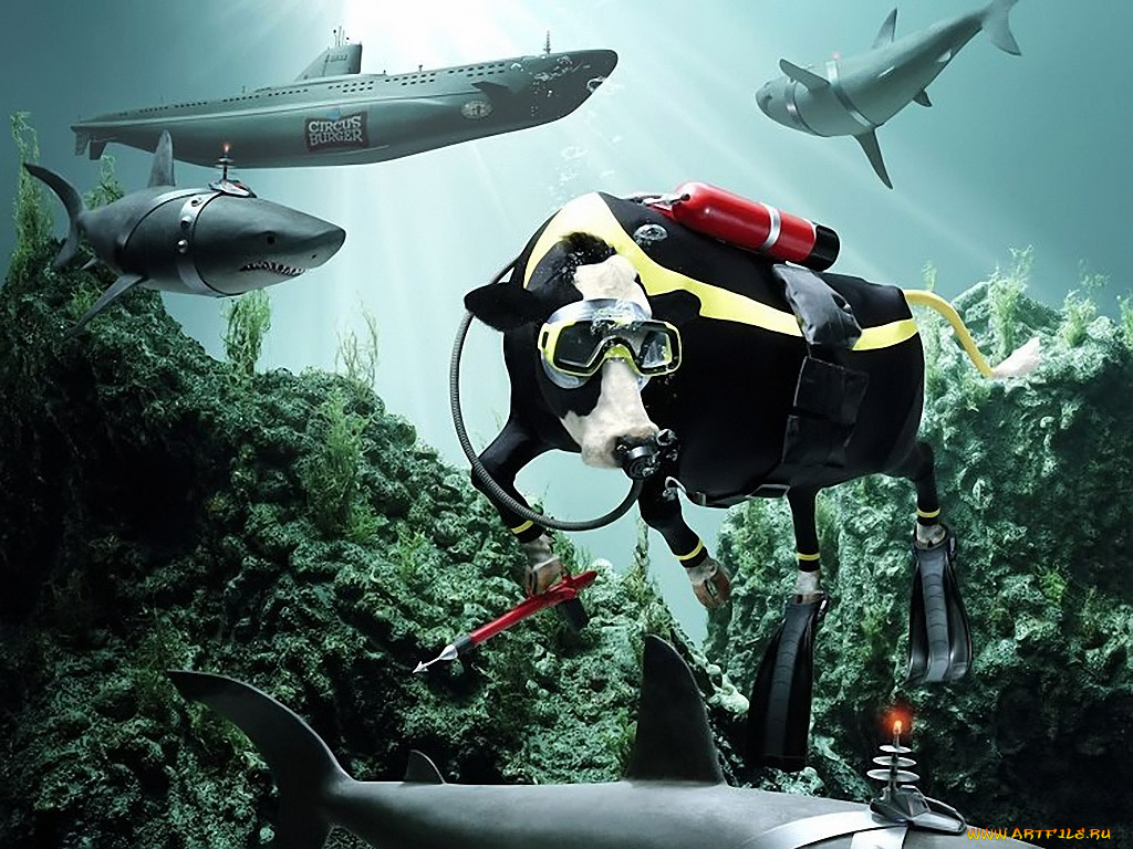 тайная, жизнь, коров, 10, разное