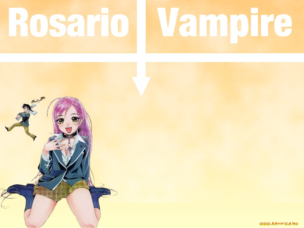 аниме, rosario, vampire