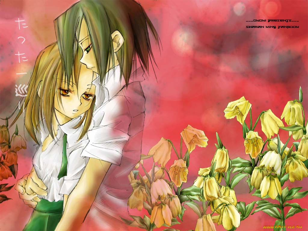 аниме, shaman, king