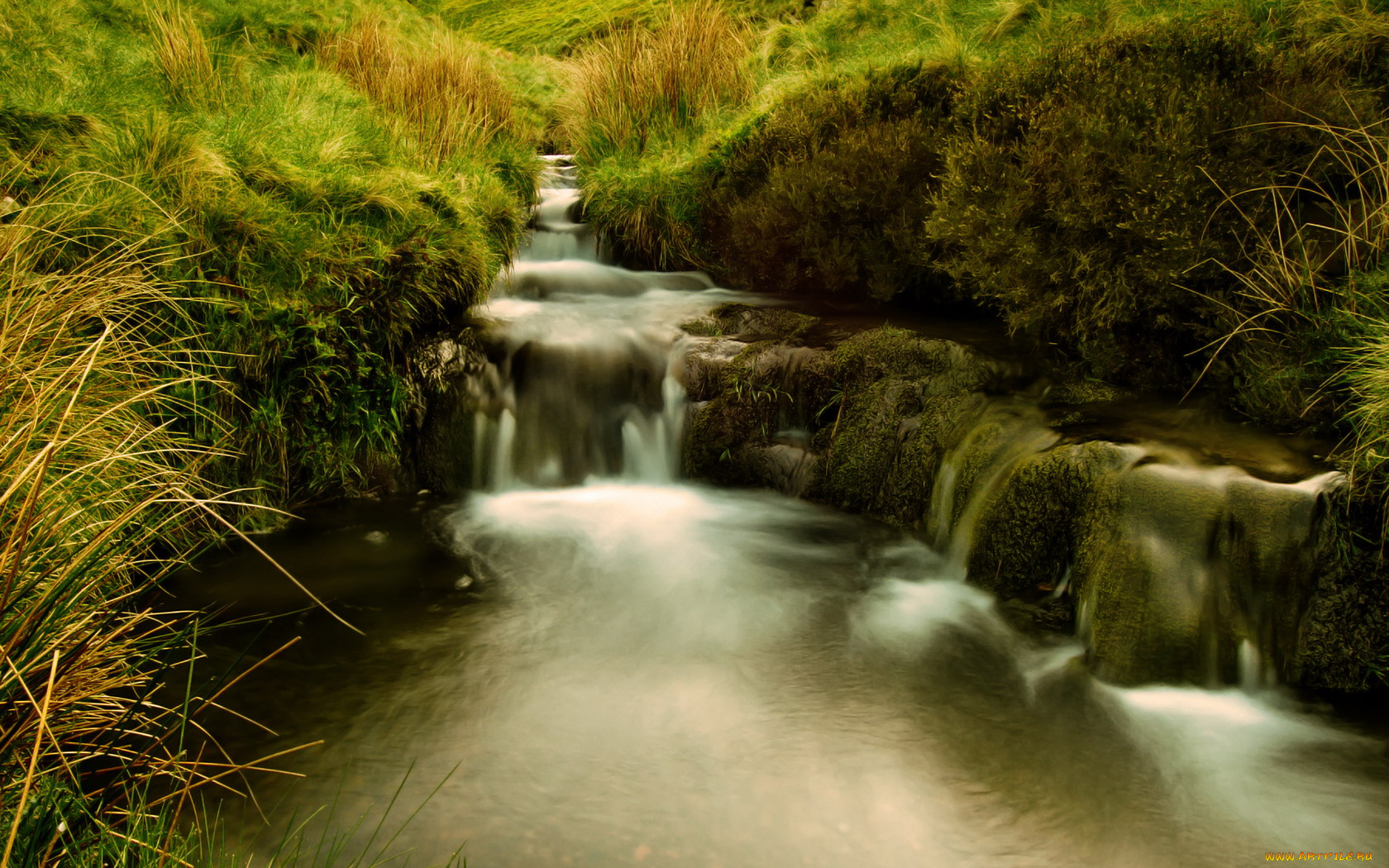 природа, реки, озера