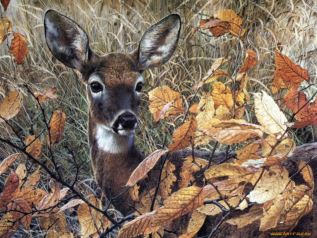 рисованные, животные